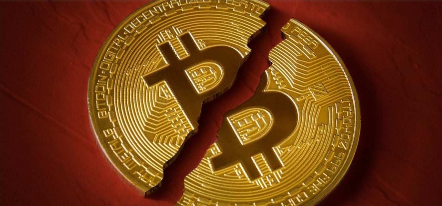 Screenshot_20260218_064722_Google