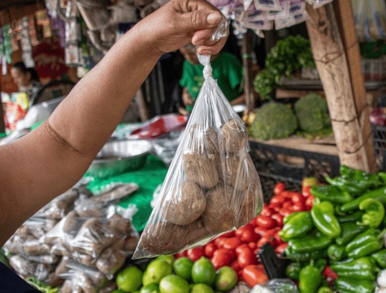 Screenshot_20260222_121915_Google