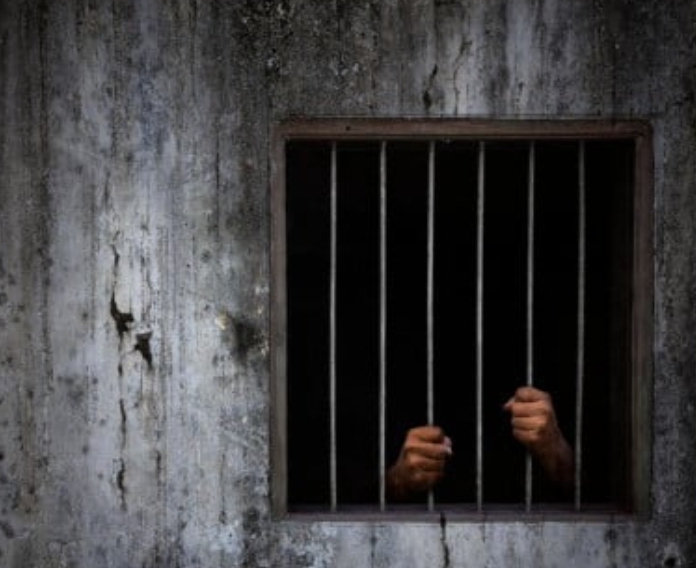 Screenshot_20260317_172011_Google